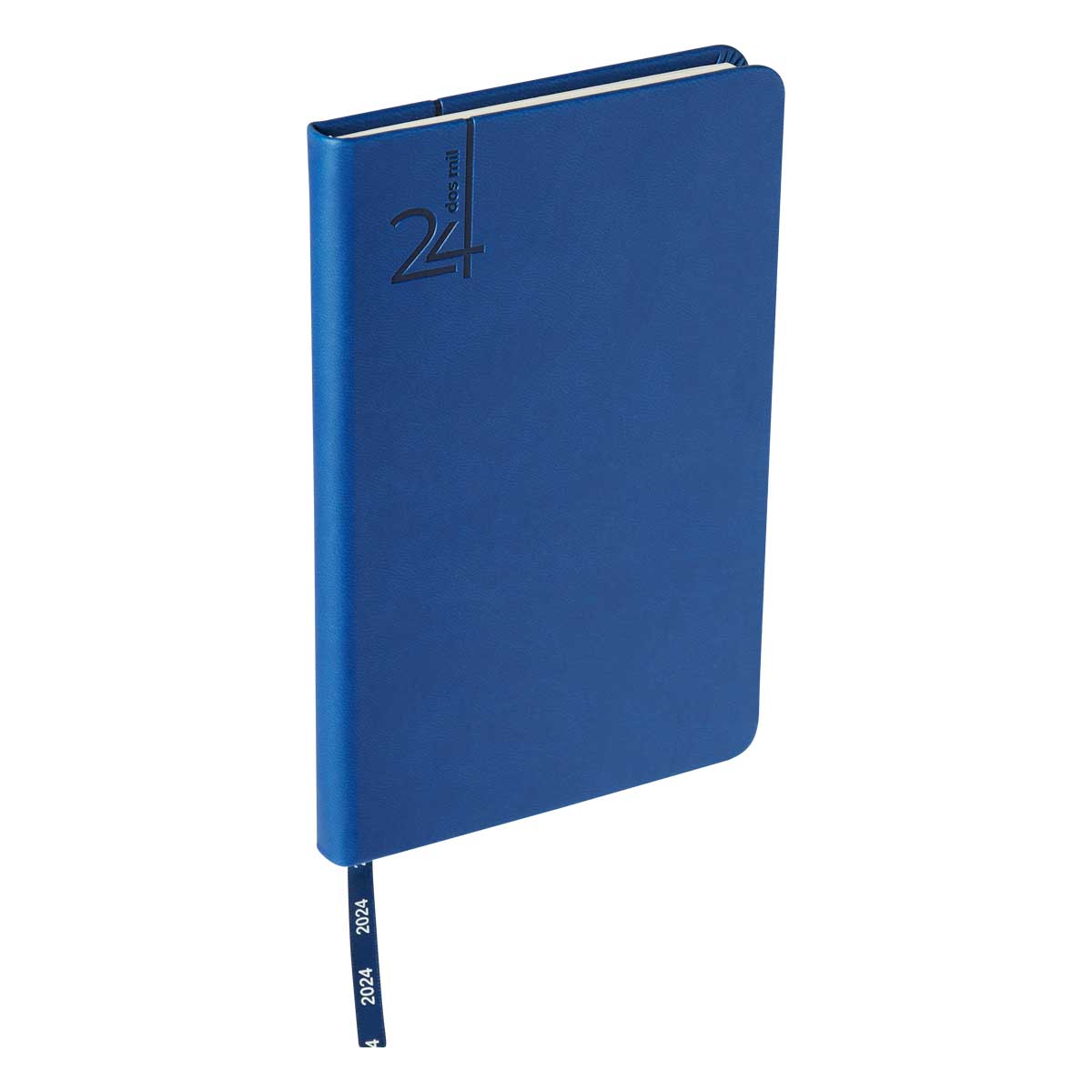 
                            AGENDA MINI TERRA 2024 AZUL REY