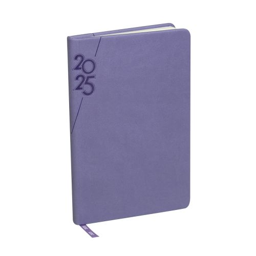 
                            AGENDA MINI TERRA 2025 MORADO